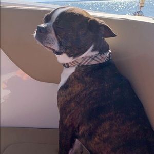 Meet your Posher, Matthew